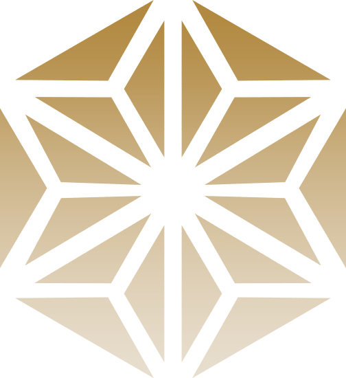 VISION3